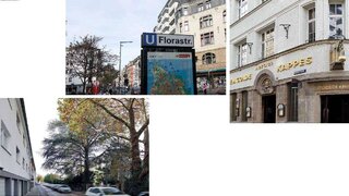casafari-bild