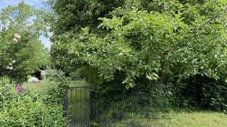 casafari-bild