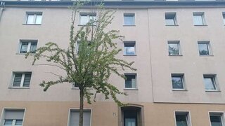 casafari-bild