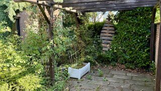 casafari-bild