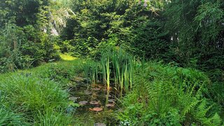 casafari-bild