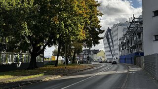 casafari-bild