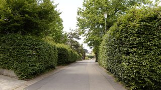 casafari-bild
