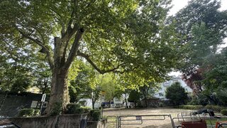 casafari-bild