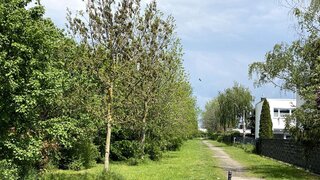 casafari-bild