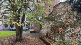casafari-bild