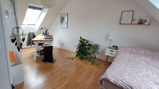 casafari-bild