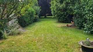 casafari-bild