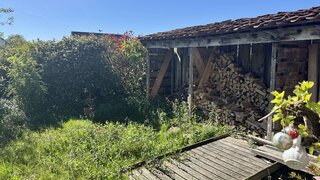 casafari-bild