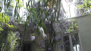 casafari-img