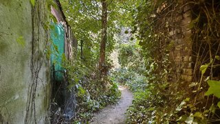 casafari-bild