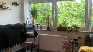 Alttag