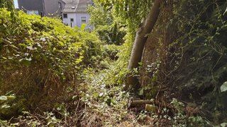 casafari-bild