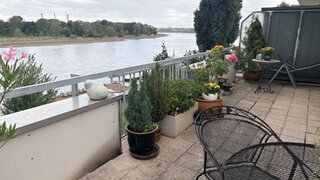 casafari-bild