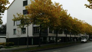 casafari-bild