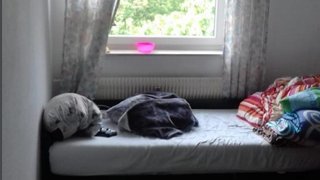 casafari-bild