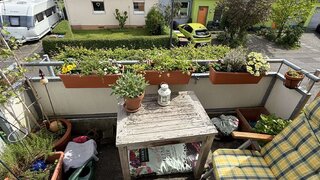 casafari-bild