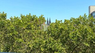 casafari-bild