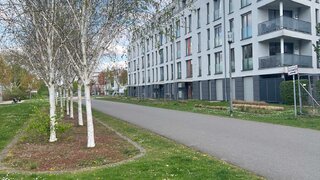 casafari-bild