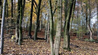 casafari-bild