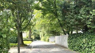 casafari-bild