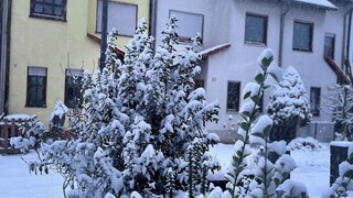 casafari-bild