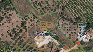 Terreno de 5000 m² em Lagoa