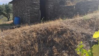 Terreno em Murça · 45 500 m² · 25 000 €