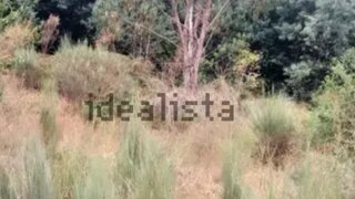 Land for sale in Oliveira do Hospital, Portugal — €14,000