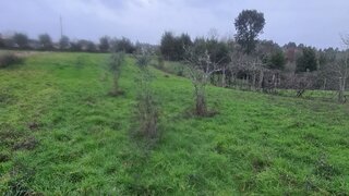 Terreno para venda em Tábua, Portugal — 25 000 €
