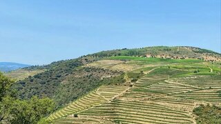 Land for sale in São João da Pesqueira, Portugal — €1,250,000