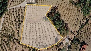 Terreno para venda em Mirandela, Portugal — 22 000 €