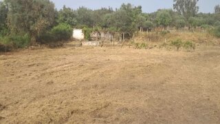 Terreno para venda em Crato, Portugal — 8000 €