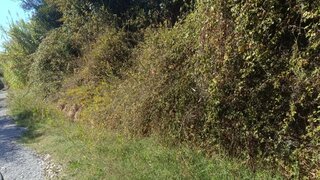 Terreno para venda em Montemor-o-Velho, Portugal — 5000 €