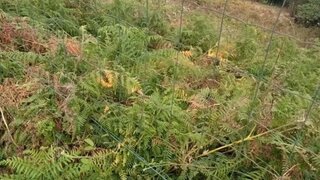 Land for sale in Penafiel, Portugal — €59,000
