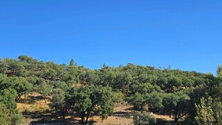 Land for sale in Ponte de Sor, Portugal — €115,000
