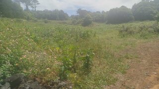 Land for sale in São Roque do Pico, Portugal — €69,000