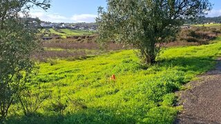 Terreno em Azambuja · 4 m² · 30 000 €