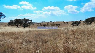 Land for sale in Almodôvar, Portugal — €940,000