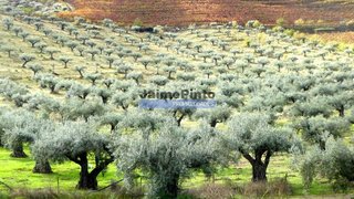 Land for sale in Vila Nova de Foz Côa, Portugal — €9,700,000