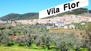 Land for sale in Vila Flor, Portugal — €125,000