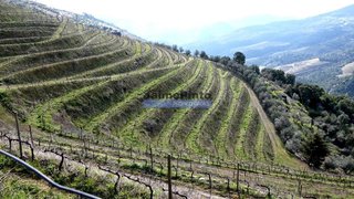 Land for sale in Sabrosa, Portugal — €750,000
