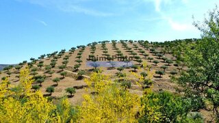 Land for sale in Figueira de Castelo Rodrigo, Portugal — €550,000