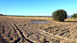 Land for sale in Figueira de Castelo Rodrigo, Portugal — €64,000