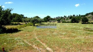 Land for sale in Figueira de Castelo Rodrigo, Portugal — €250,000