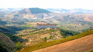 Terreno em Freixo de Espada à Cinta