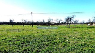 Terreno em Figueira de Castelo Rodrigo