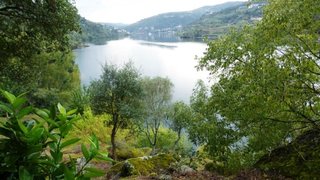 Land for sale in Cinfães, Portugal — €900,000