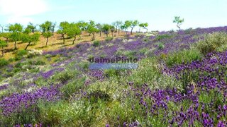 Land for sale in Alfândega da Fé, Portugal — €41,500