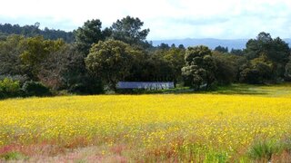 Land for sale in Celorico da Beira, Portugal — €375,000